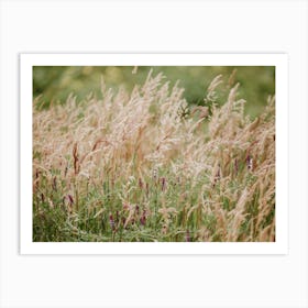 Tall Grasses Art Print