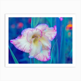 Irises Art Print