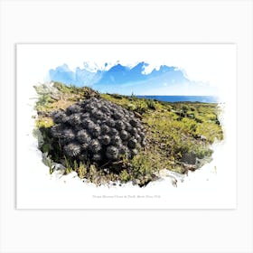 Parque Nacional Llanos De Challe, Norte Chico, Chile Art Print