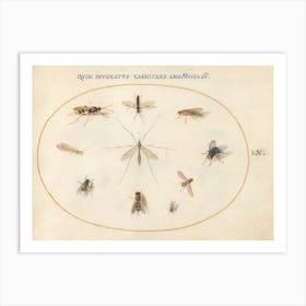 Flies and Other Insects (c. 1575-1580), Joris Hoefnagel Art Print