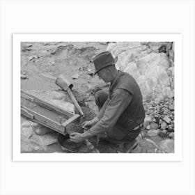 Prospector Removing Wire Screen From Bottom Of Sluice Box, This Screen Catches The Gold As The Water Washes Art Print