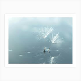 Dandelion 24 Art Print