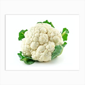 Cauliflower 4 Art Print