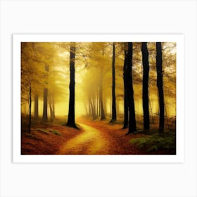 Path In The Forest Art Print