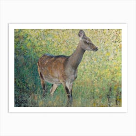 Deer In Glade Art Print