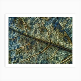 Autumn Leaf Metal Print Art Print