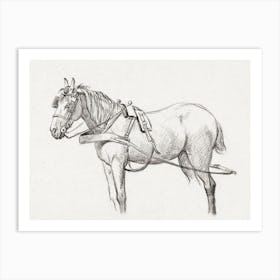 Standing Harnessed Horse 1, Jean Bernard Art Print