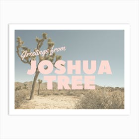 Greetings From Joshua Tree | Post Card Art Print