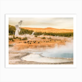 Yellowstone Bison Herd Art Print