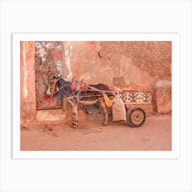 Moroccan Donkey Landscape Photography Art Print