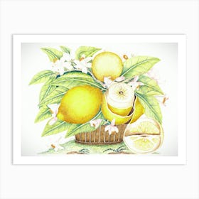 Lemons In A Basket Art Print