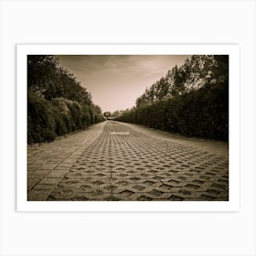 Sepia Colored Walkway In The Park Art Print