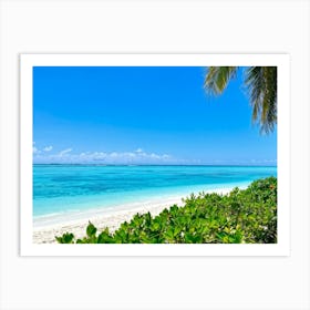 Relax Ocean Plant Idylli Holiday Coastline Beautiful Calm Shore Blue Paradise Sunlight N (20) Art Print