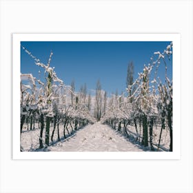 Unitltled 09 - Snow in the Vineyard Series Art Print