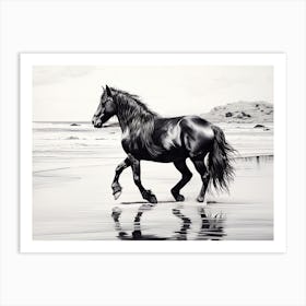 A Horse Oil Painting In Camps Bay Beach, South Africa, Landscape 3 Art Print