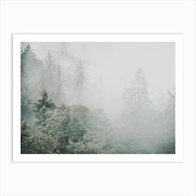 Green Misty Forest Art Print