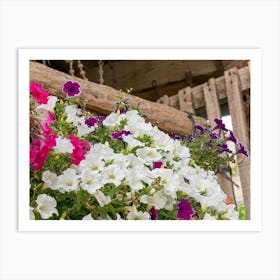 Hanging Basket Of Flowers 202308171631196pub Art Print