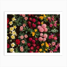 Garden Of Flowers Art Print