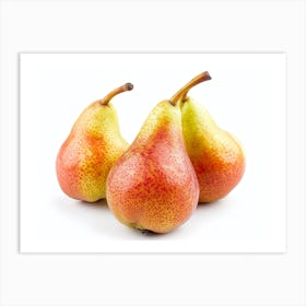 Three Pears On A White Background 1 Art Print