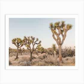 Joshua Tree Desert Scenery Art Print