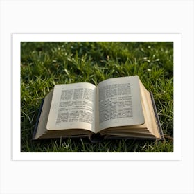 Open Book In The Grass Art Print