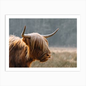 Highland Cow in the field | colorful travel photography 2 Art Print