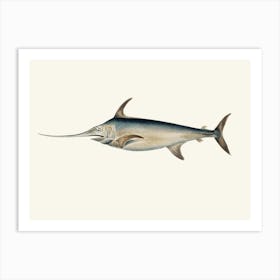 Marlin Art Print