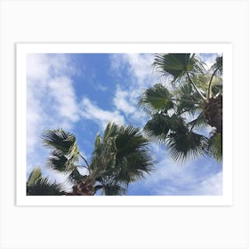 Palm Trees Against A Blue Sky Art Print