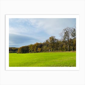 Field With Trees 7 Art Print