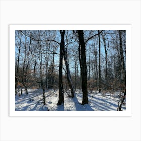 Winter Forest 5 Art Print