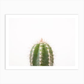 Petite Cactus Art Print