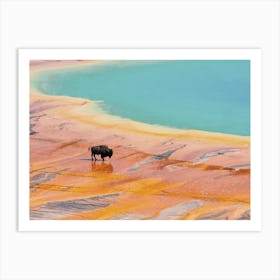 Bison In Prismatic Waters Art Print