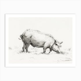 Standing Pig In The Grass, Jean Bernard Art Print