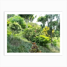 Garden 7 By Binod Dawadi Art Print