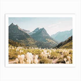 Dried Grass On Mountainside Art Print