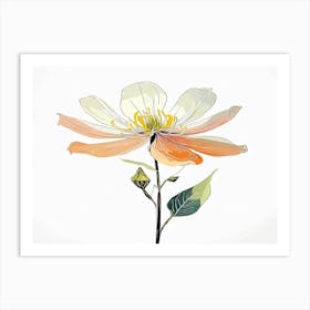 Peony 1 Art Print