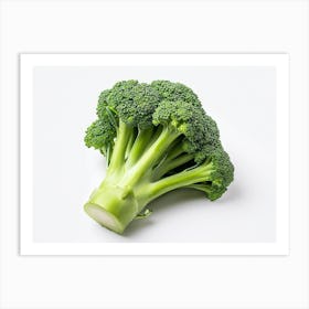 Broccoli On White Background 3 Art Print