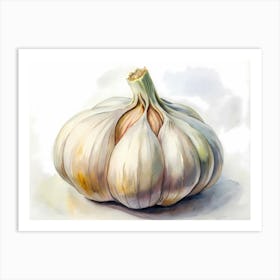 Garlic Art Print