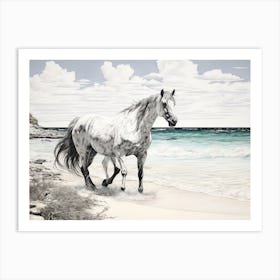 A Horse Oil Painting In Grace Bay Beach Turks And Caicos Islands, Landscape 1 Art Print