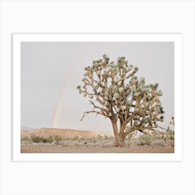 Joshua Tree Rainbow Art Print