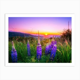 A Bright Sunrise Casting A Luminescent Glow On A Lush Countryside Garden During Summer Awash With P (1) Art Print