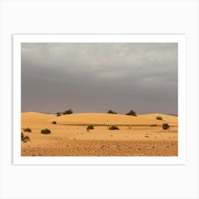 Sahara Desert In Mauritania In Africa Art Print