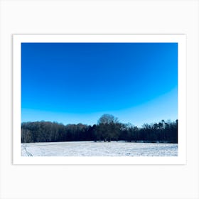 Blue Sky In Winter Art Print