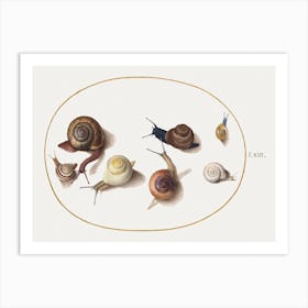 Seven Snails (1575–1580), Joris Hoefnagel Art Print