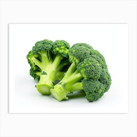 Broccoli On White Background 2 Art Print