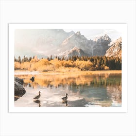 Ducks Morning Swiming, Italian Alps Art Print