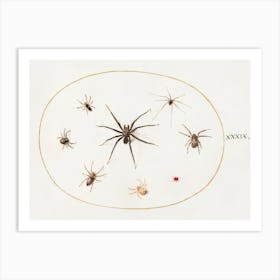 Eight Spiders (1575–1580), Joris Hoefnagel 1 Art Print