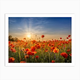 Poppy Idyll In Sunset Art Print