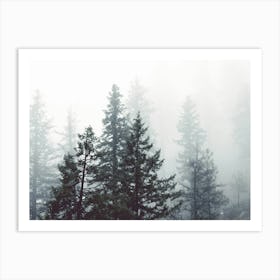 Pacific Northwest Forest Dreams Art Print