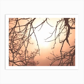 Atmospheric Red Sunrise on a Misty Winter Morning in Hyde Park, London Art Print